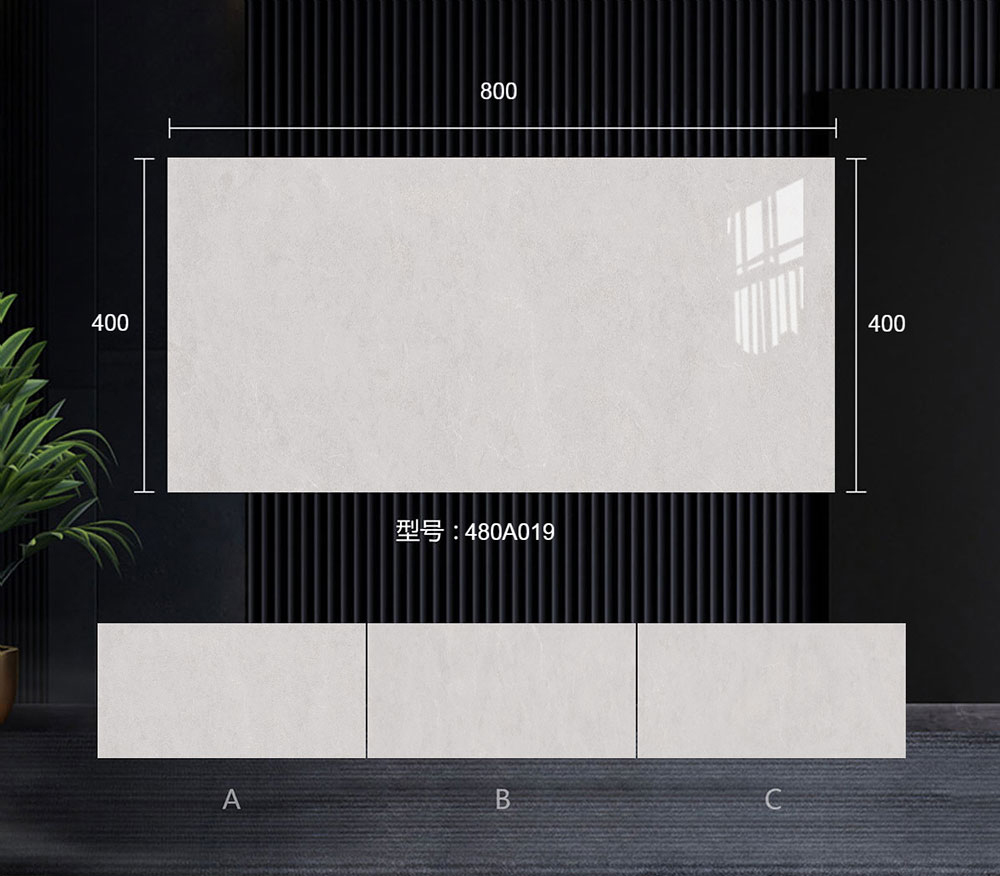 480A019